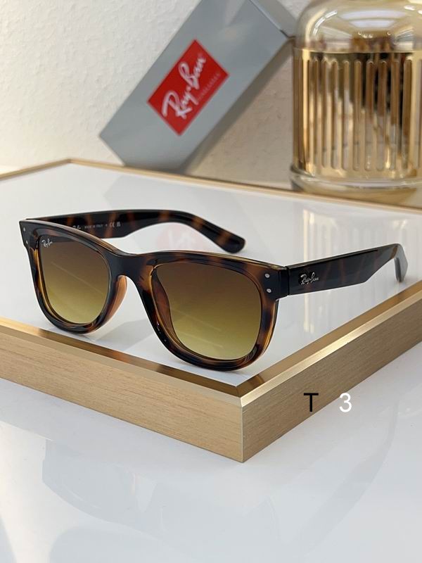 RayBan Sunglasses ID:20240804-394